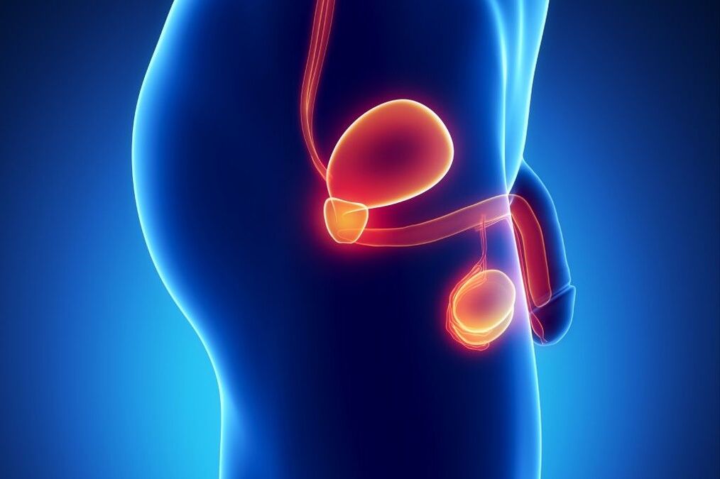 Zapalenie prostaty