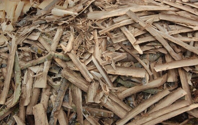 kora osiki na zapalenie prostaty