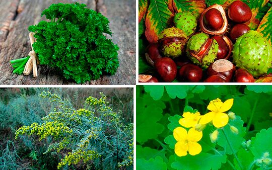 zioła stosowane w leczeniu zapalenia prostaty